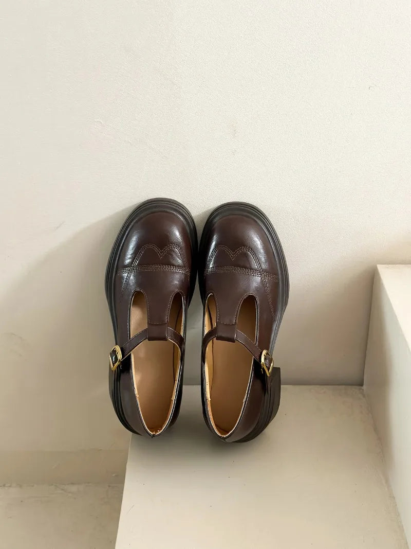 High-heeled Shoes Women Pumps Buckle Thick Heels with T-strap Ladies Chunky Heels Platform Mary Janes Woman Footwear Sandals