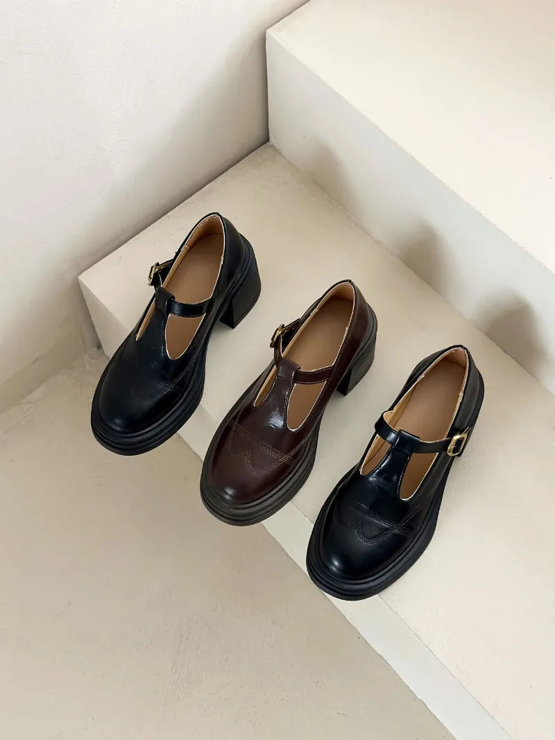 High-heeled Shoes Women Pumps Buckle Thick Heels with T-strap Ladies Chunky Heels Platform Mary Janes Woman Footwear Sandals