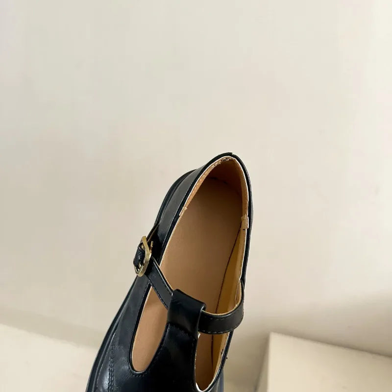 High-heeled Shoes Women Pumps Buckle Thick Heels with T-strap Ladies Chunky Heels Platform Mary Janes Woman Footwear Sandals