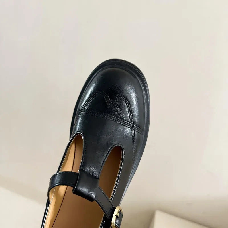 High-heeled Shoes Women Pumps Buckle Thick Heels with T-strap Ladies Chunky Heels Platform Mary Janes Woman Footwear Sandals