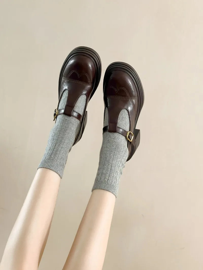 High-heeled Shoes Women Pumps Buckle Thick Heels with T-strap Ladies Chunky Heels Platform Mary Janes Woman Footwear Sandals