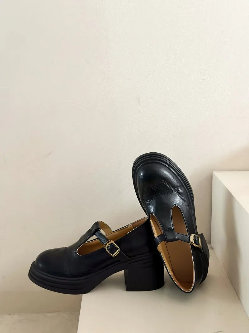 High-heeled Shoes Women Pumps Buckle Thick Heels with T-strap Ladies Chunky Heels Platform Mary Janes Woman Footwear Sandals