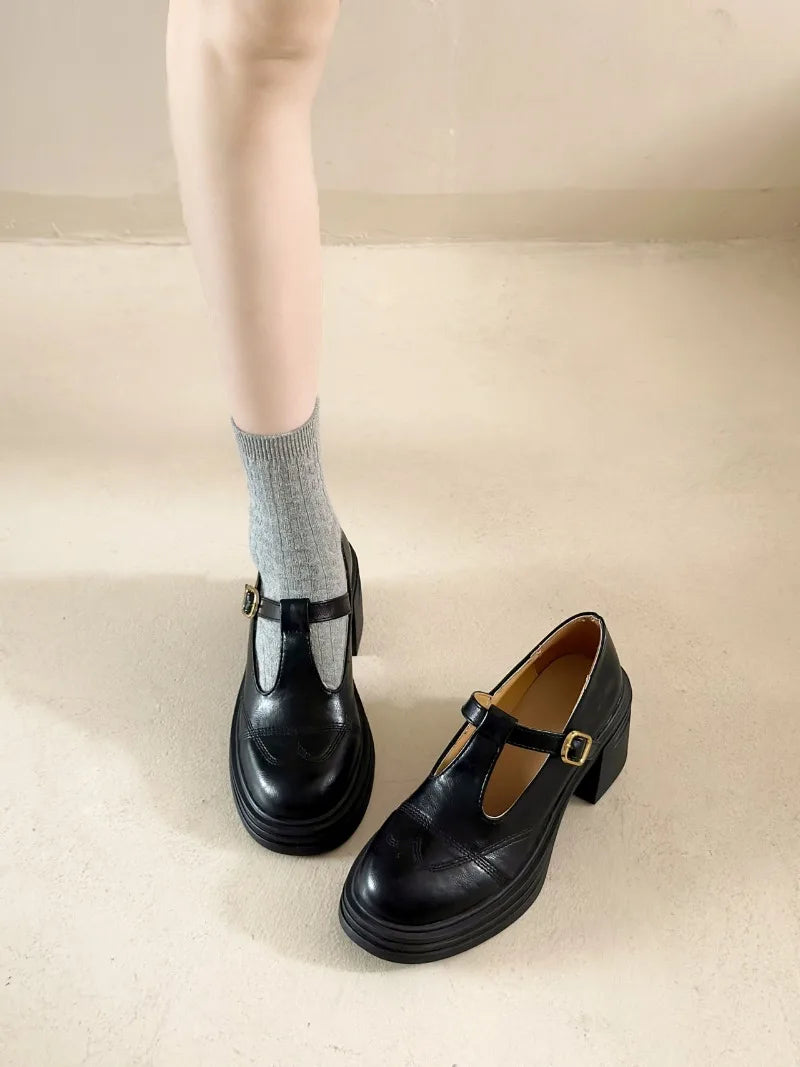 High-heeled Shoes Women Pumps Buckle Thick Heels with T-strap Ladies Chunky Heels Platform Mary Janes Woman Footwear Sandals