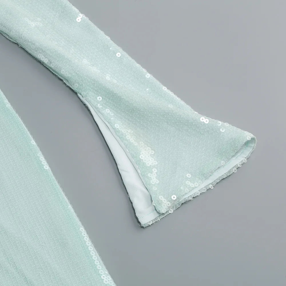 Luxury celebrity vacation photography nightclub evening gown sexy solid color sequin banquet long sleeved dress