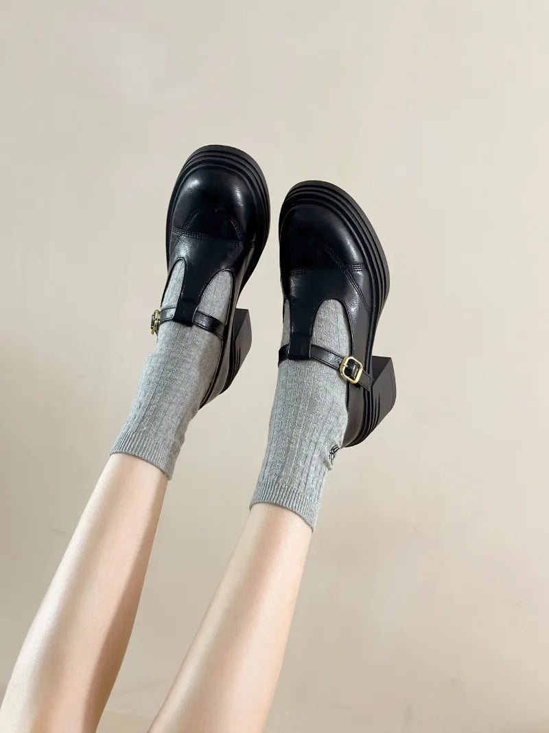 High-heeled Shoes Women Pumps Buckle Thick Heels with T-strap Ladies Chunky Heels Platform Mary Janes Woman Footwear Sandals