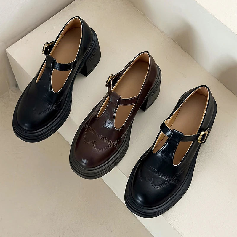 High-heeled Shoes Women Pumps Buckle Thick Heels with T-strap Ladies Chunky Heels Platform Mary Janes Woman Footwear Sandals