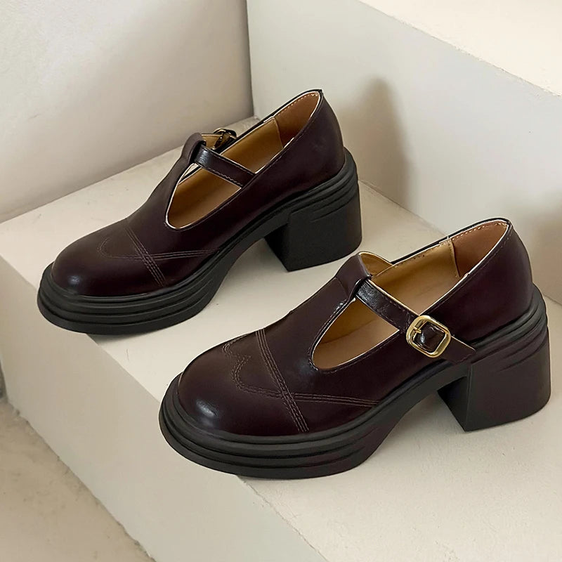 High-heeled Shoes Women Pumps Buckle Thick Heels with T-strap Ladies Chunky Heels Platform Mary Janes Woman Footwear Sandals