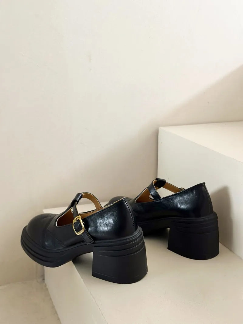 High-heeled Shoes Women Pumps Buckle Thick Heels with T-strap Ladies Chunky Heels Platform Mary Janes Woman Footwear Sandals