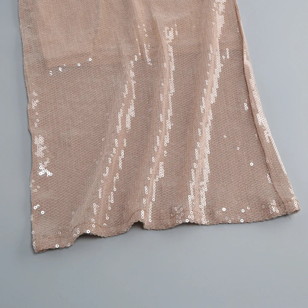 Luxury celebrity vacation photography nightclub evening gown sexy solid color sequin banquet long sleeved dress