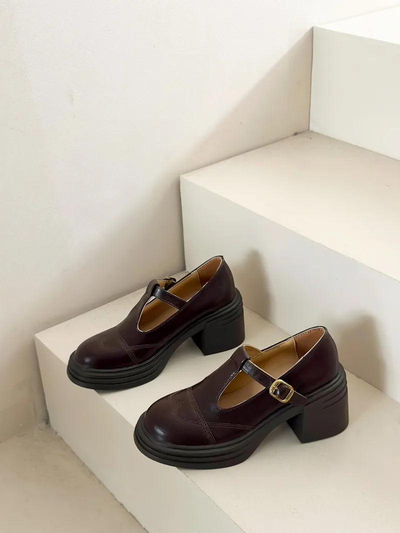 High-heeled Shoes Women Pumps Buckle Thick Heels with T-strap Ladies Chunky Heels Platform Mary Janes Woman Footwear Sandals