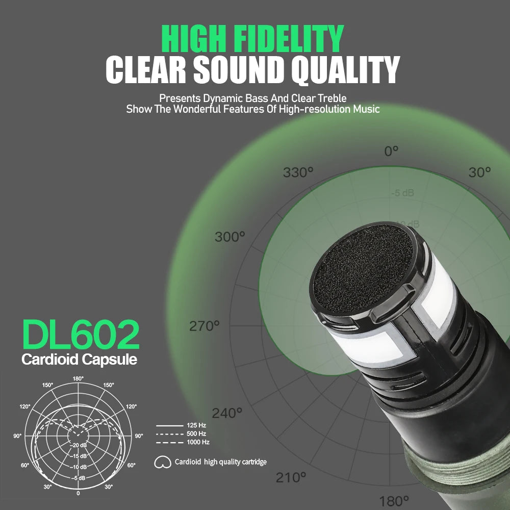 Rechargeable Battery Microphone 2 Channel UHF Wireless Microphone Dual Handheld Dynamic Adjust Frequency For Stage 200ft DL602