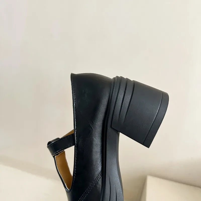 High-heeled Shoes Women Pumps Buckle Thick Heels with T-strap Ladies Chunky Heels Platform Mary Janes Woman Footwear Sandals
